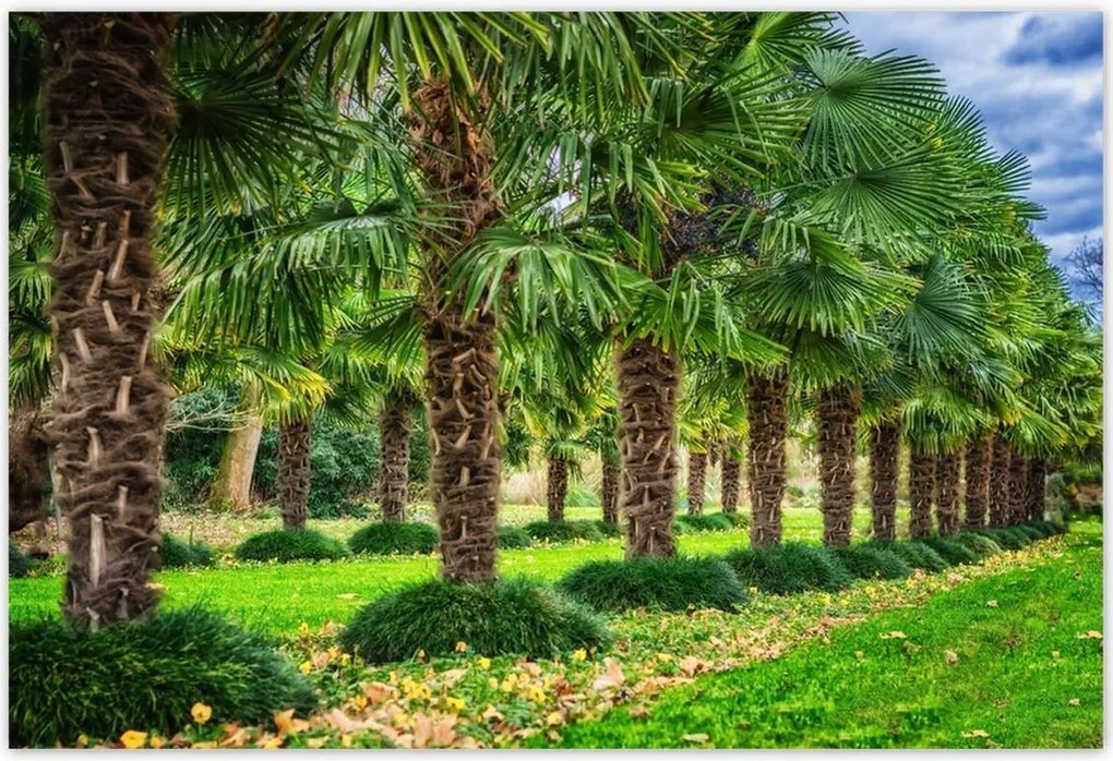 Poszterek 155x105 Tájkép