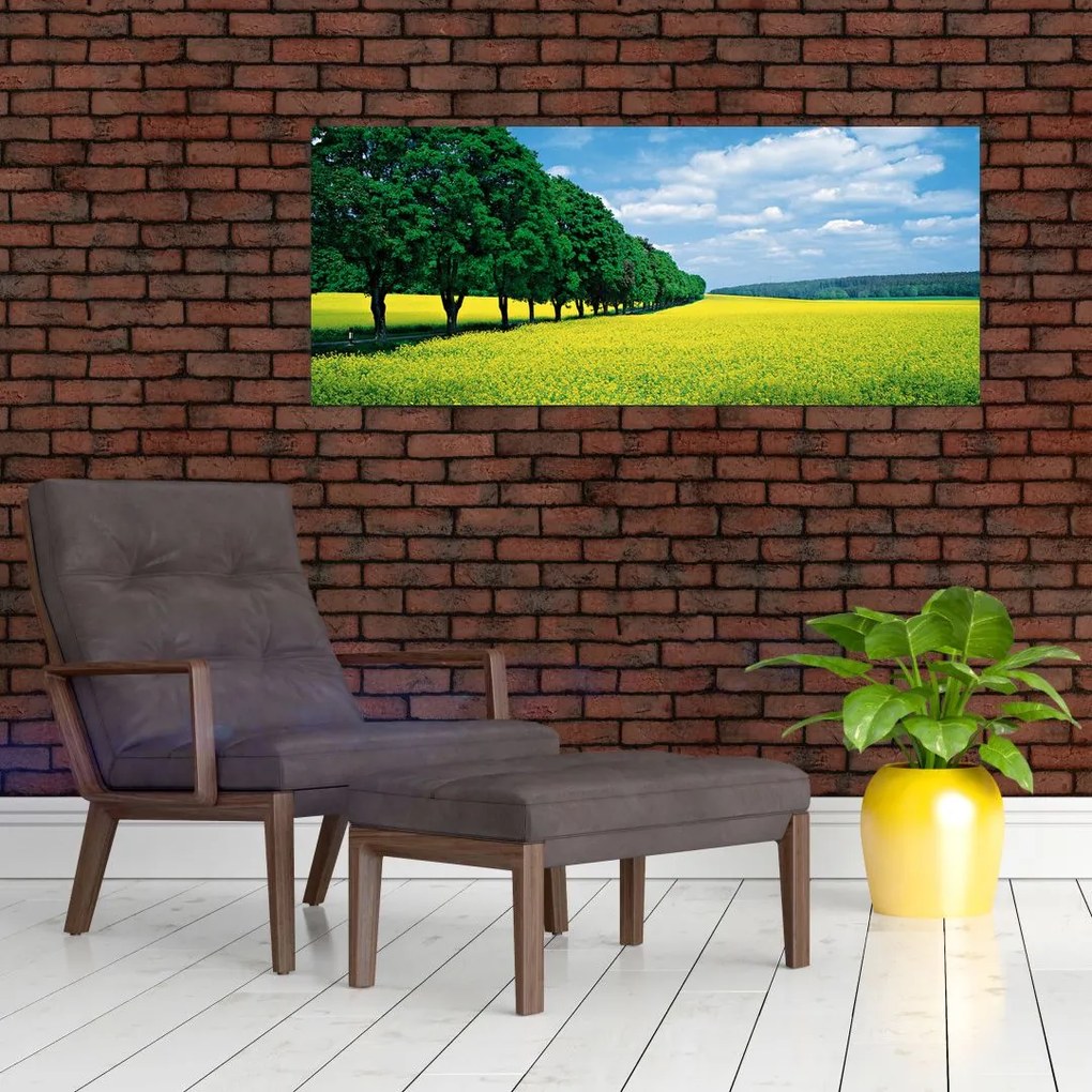 A mező képe egy sikátorral (120x50 cm)