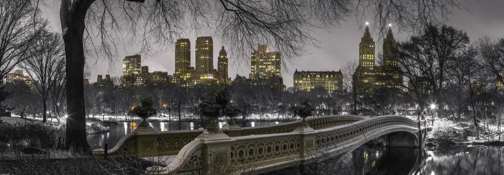 Poszter 95x33cm Központi park Manhattan panorámával, Assaf Frank