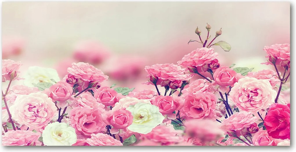 Lacobel Panel Csipkebogyó virágok 140x70 cm Ragasztó