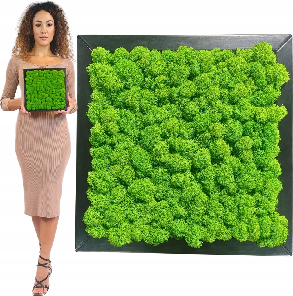 Moha Vászonkép Rénszarvas moha fa keretben 25x25 Élő Kép