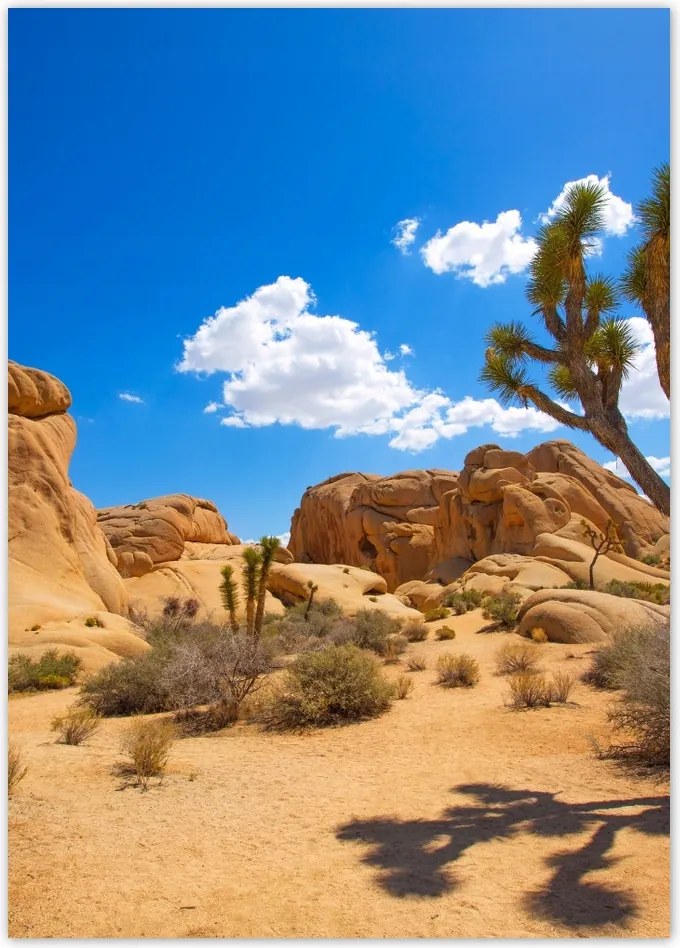 Poszterek 50x70 Sivatagi táj