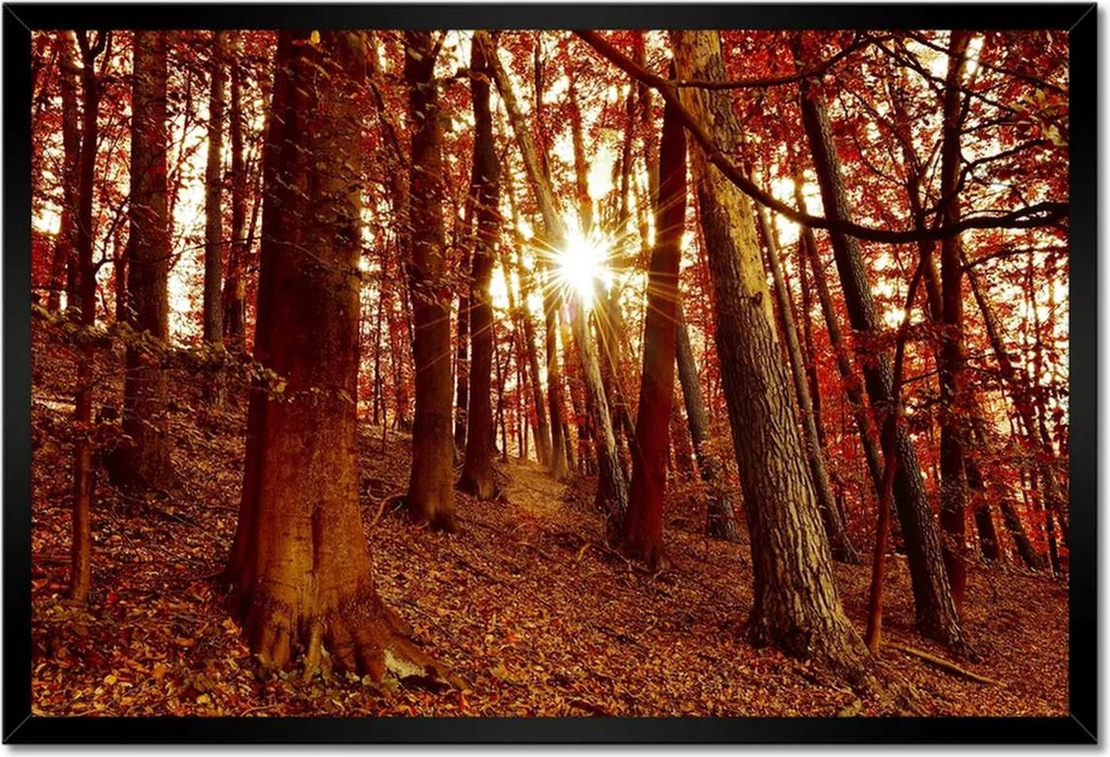 Poszterek keretben 60x40 Tájkép Látvány