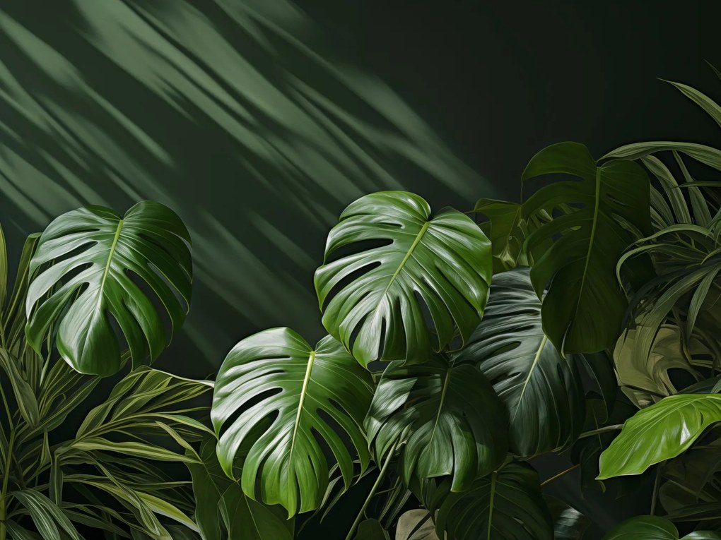 Poszter 80x60cm Suttogó levelek