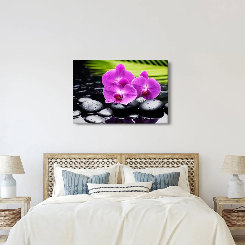 Kép - Orchideák (90x60 cm)