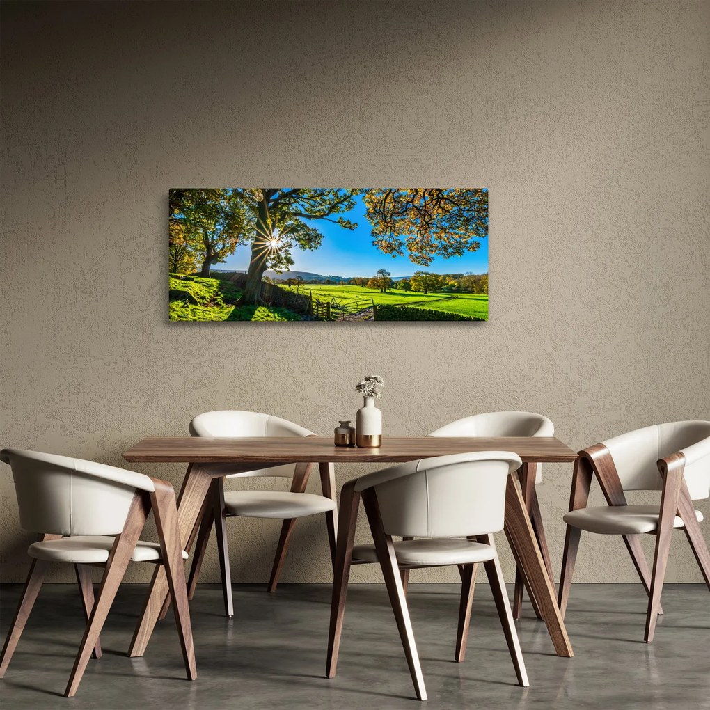 Kép - mező, kilátás (120x50 cm)