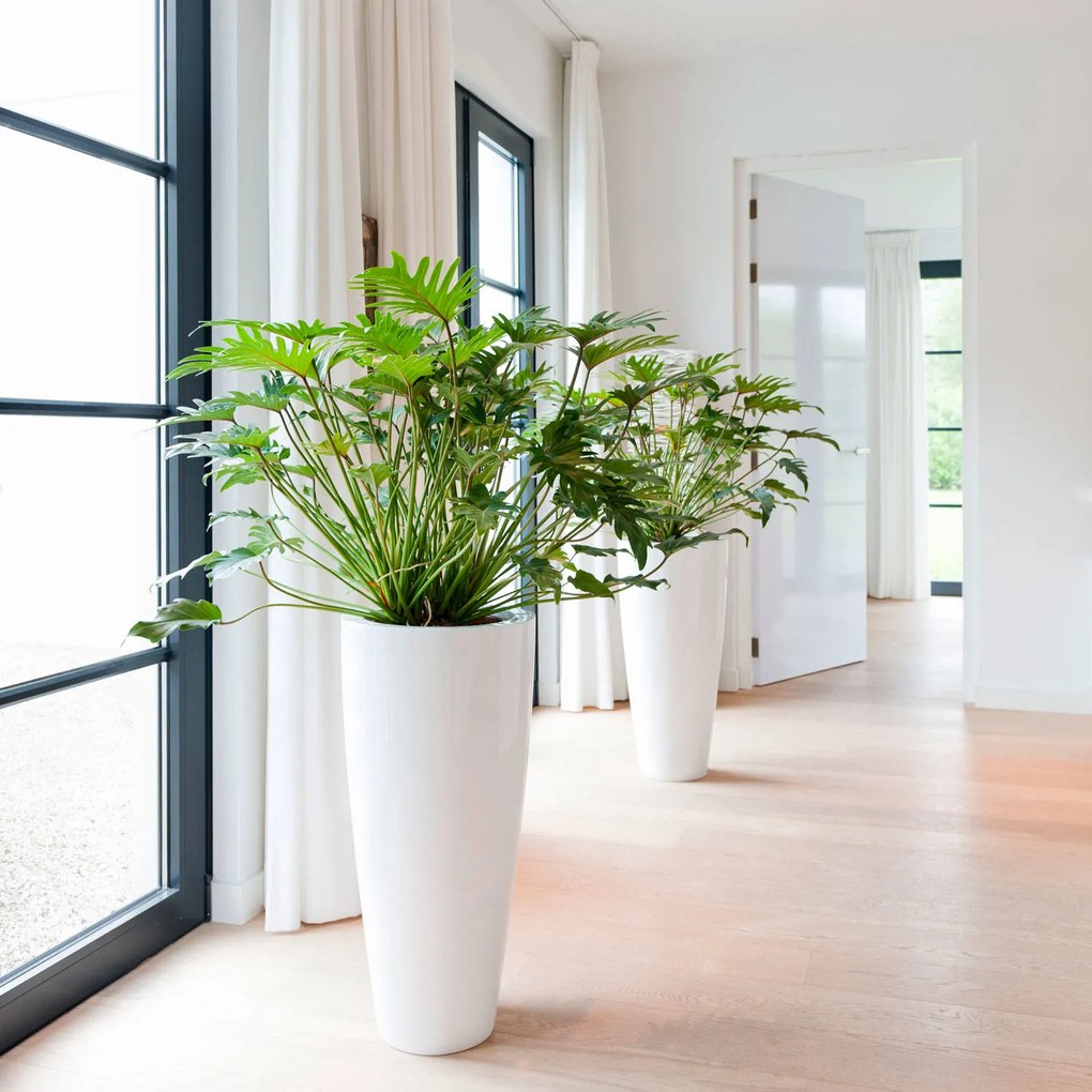 Pottery Pots Dax virágcserép, fényes fehér, többféle méretben - PotteryPots méret: H - h 80 cm, ⌀ 37 cm