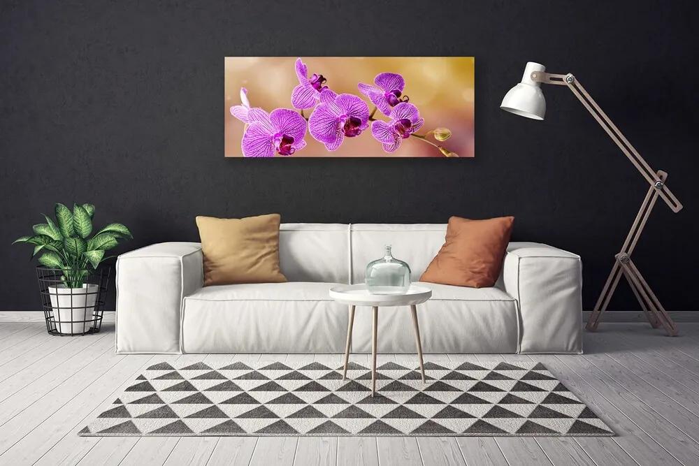 Vászonfotó Rügyek orchidea virágok Természet 140x70 cm