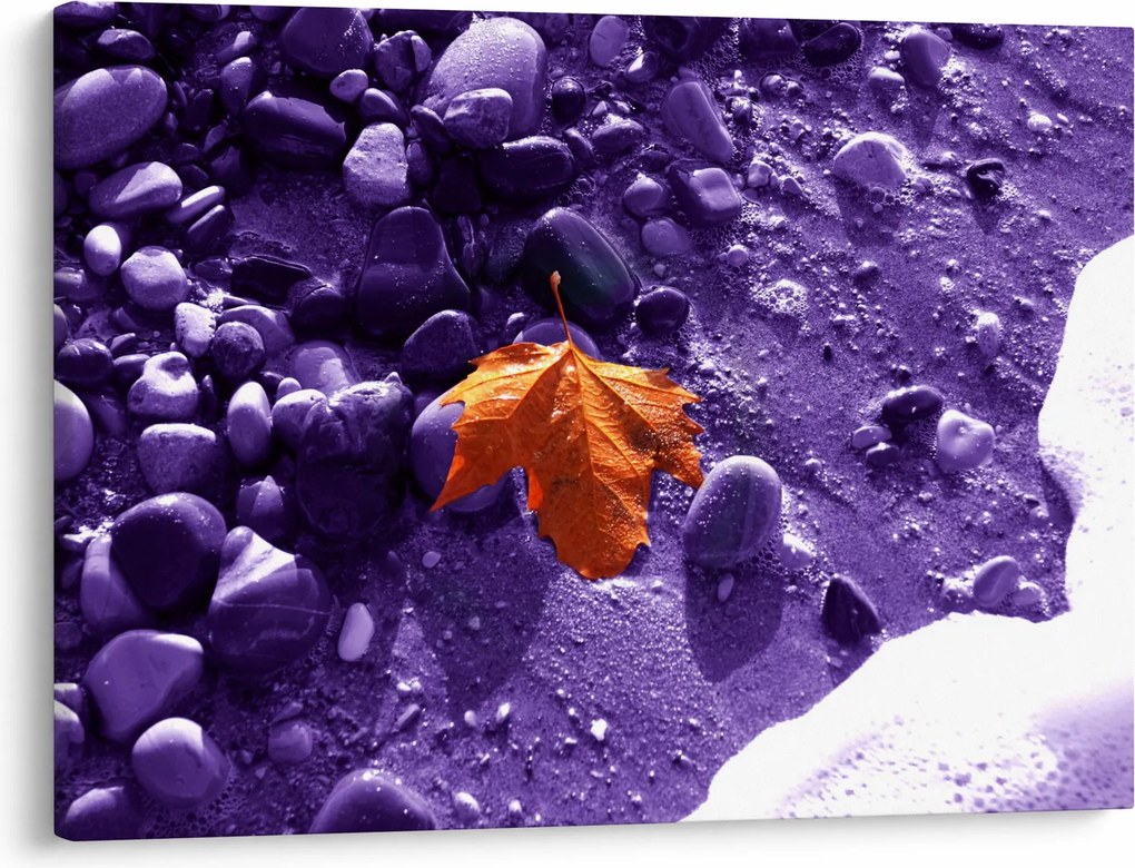 Kép - Tengerpart (70x50 cm)