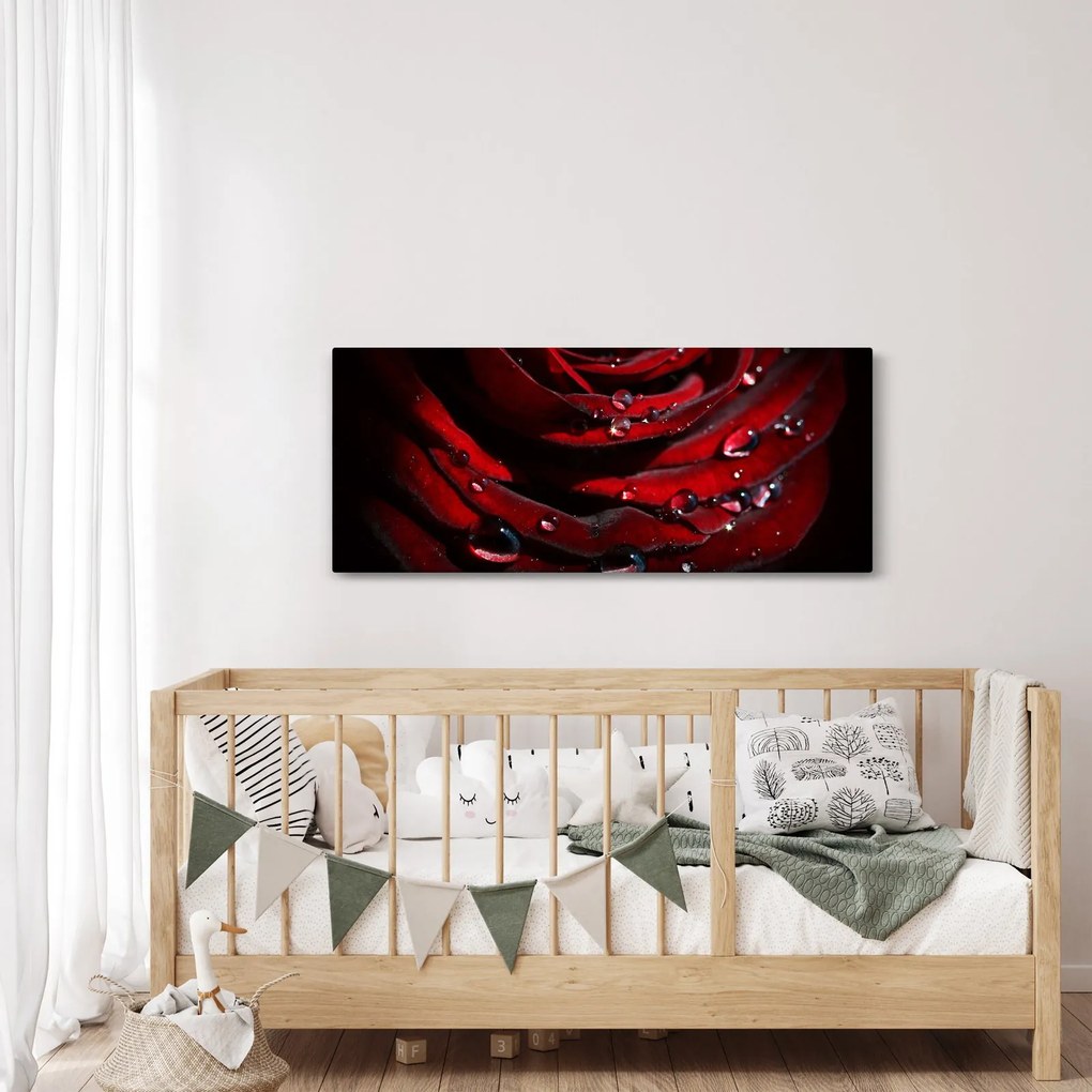 Kép - Rózsa részlete (120x50 cm)
