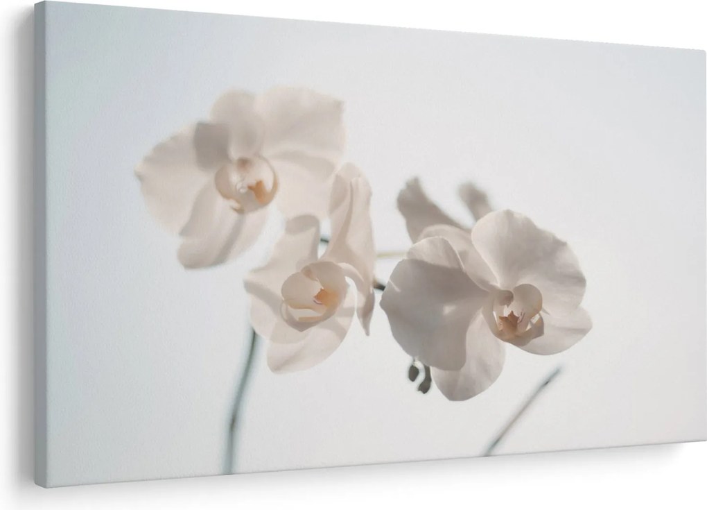 Fehér orchidea képe (90x60 cm)