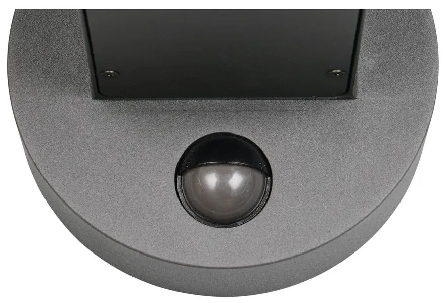 Fali kültéri lámpa (magasság 24,5 cm) Fraser – Trio