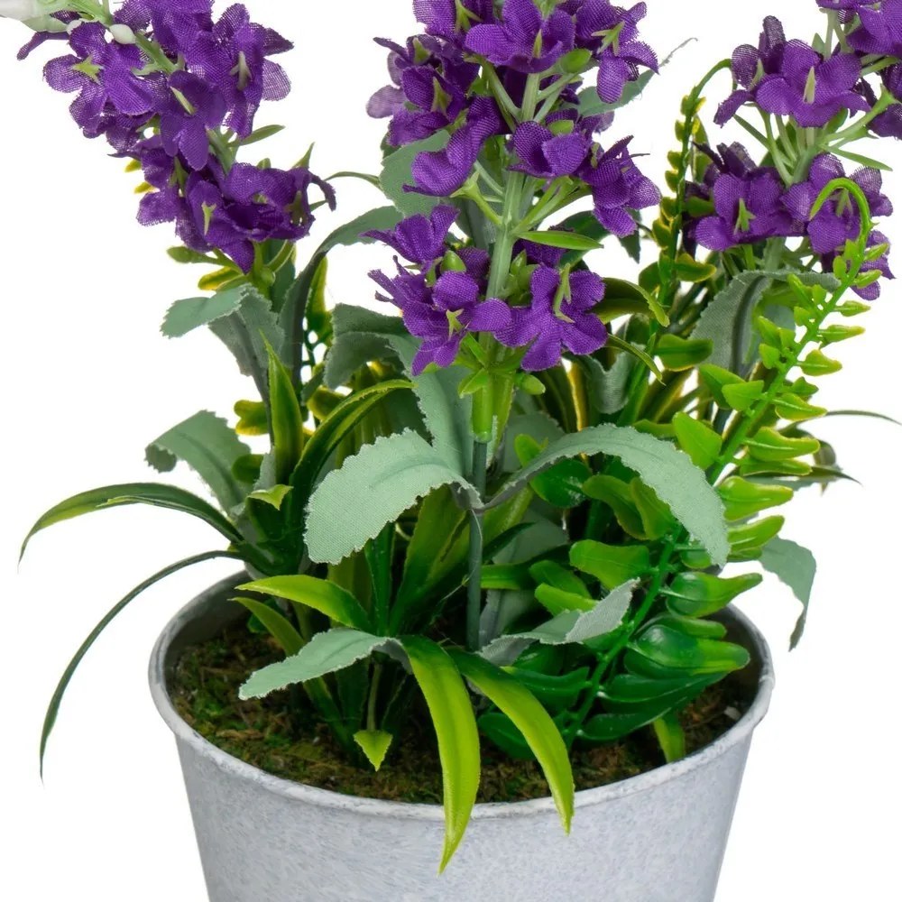Levendula műnövény (magasság 30 cm) Lavender – Casa Selección
