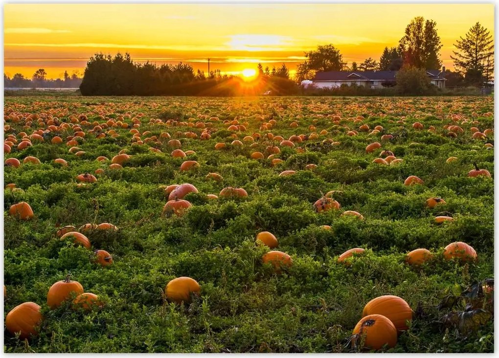 Poszterek 70x50 Tájkép Látvány