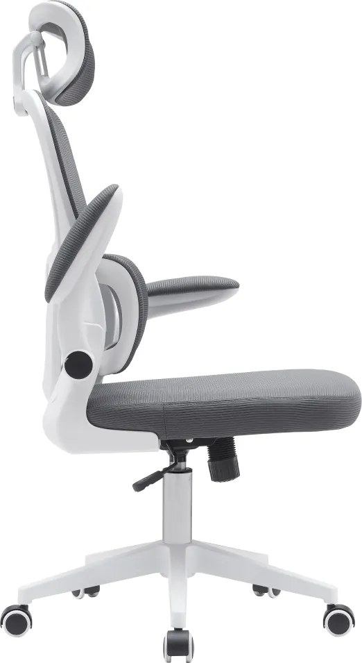 Irodai szék, sötétszürke/fehér, RENARD