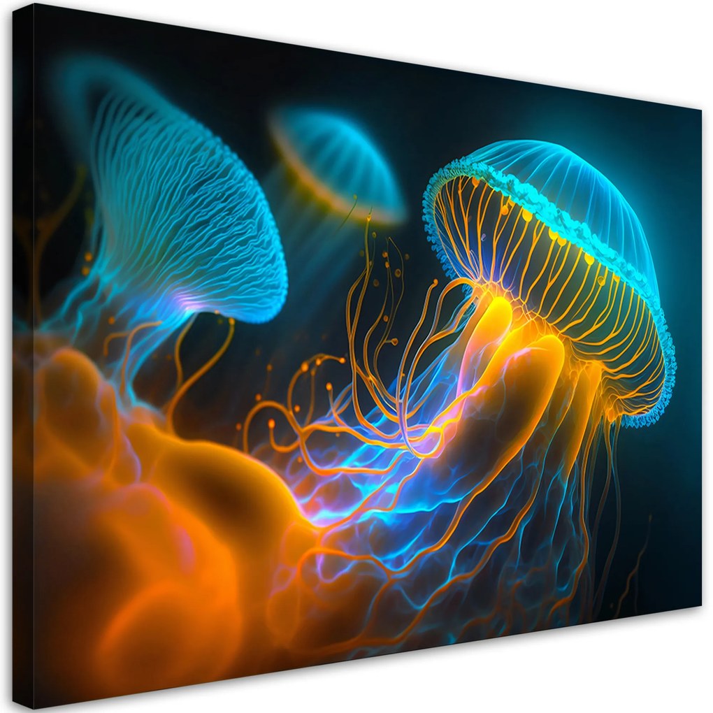 Gario Vászonkép Lélegzetelállító medúzák Méret: 90 x 60 cm