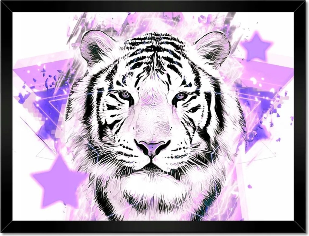 Poszter keretben 40x30 Tigris lila