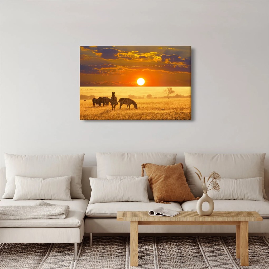Kép - Zebrák naplementével (90x60 cm)