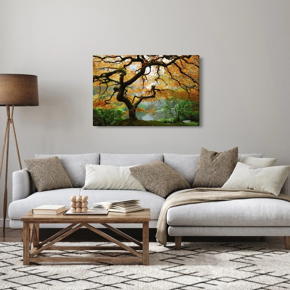 Egy sárga japán juhar képe, Portland, Oregon (90x60 cm)