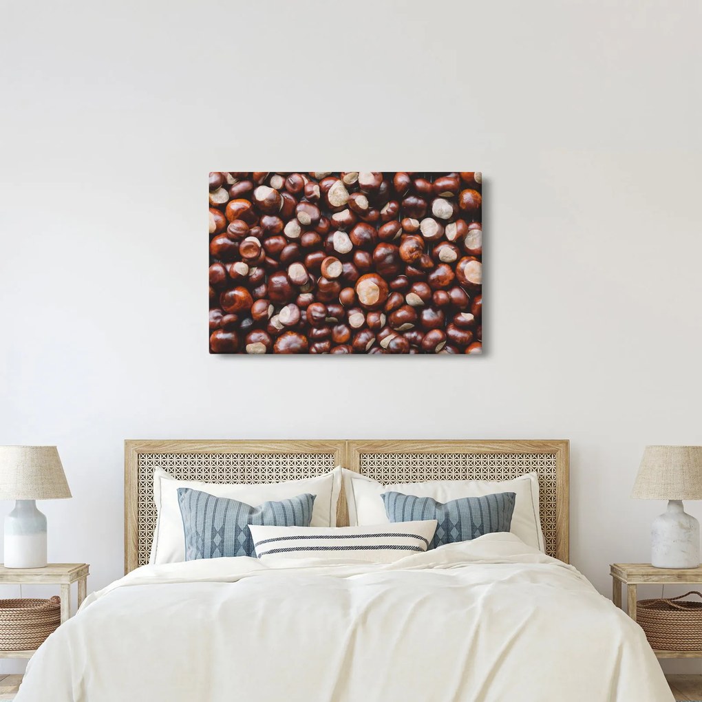 Kép - Érett gesztenye (90x60 cm)