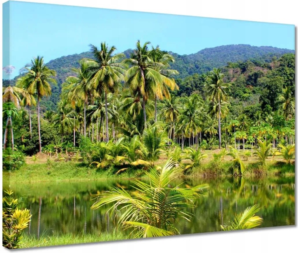 Vászonkép 40x30 Gyönyörű amazon