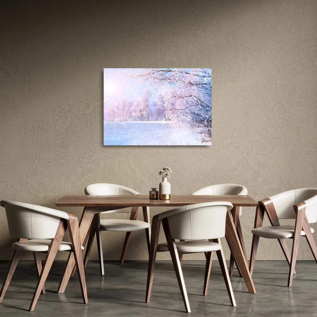 Kép - Fagyos tél (üvegen) (70x50 cm)