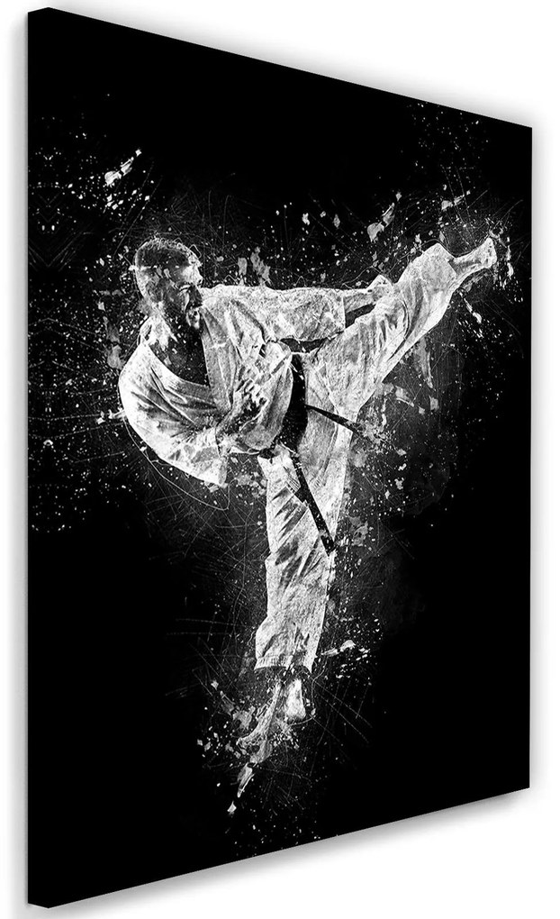 Gario Vászonkép Karate - Cornel Vlad Méret: 60 x 90 cm