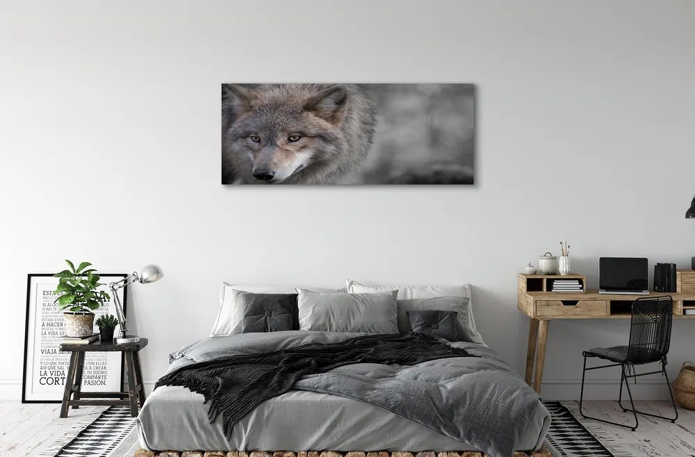 Canvas képek Farkas 125x50 cm