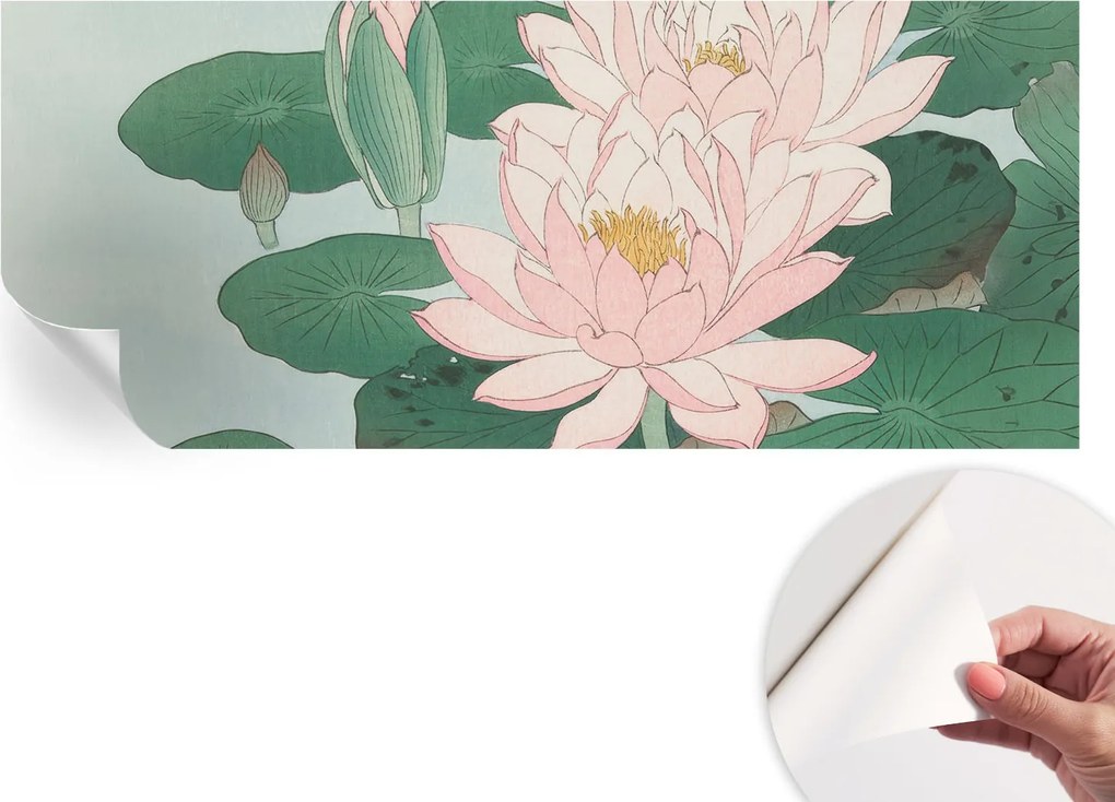 Öntapadós Dekoratív Fotótapéta Hálószobába Vízi lótusz 250x104 cm