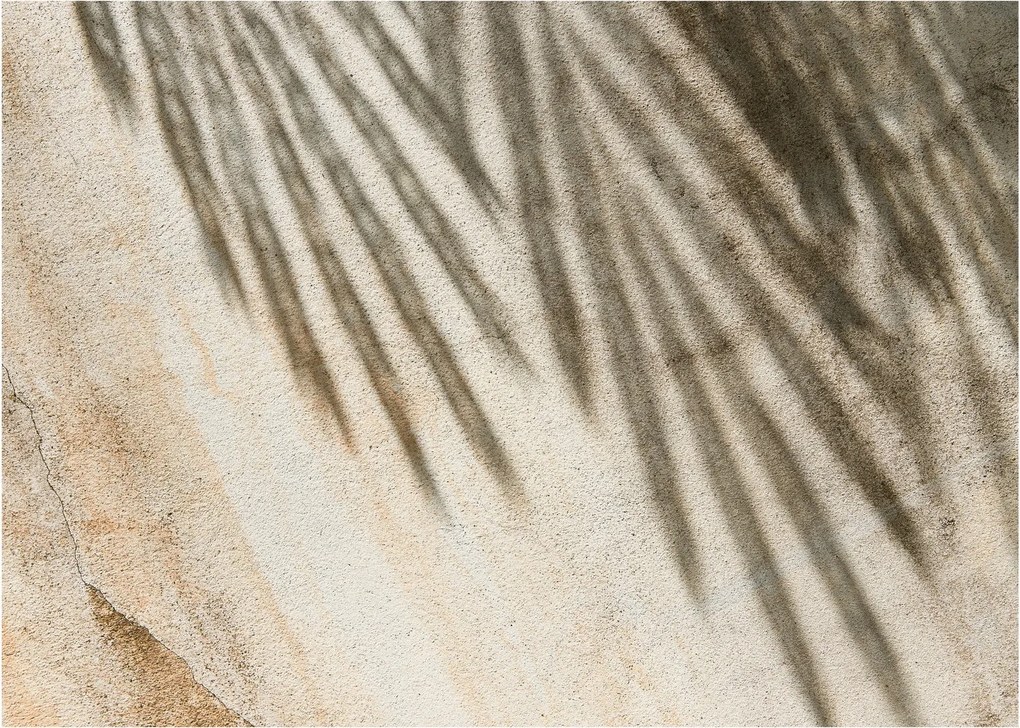 Kép - Árnyak (70x50 cm)