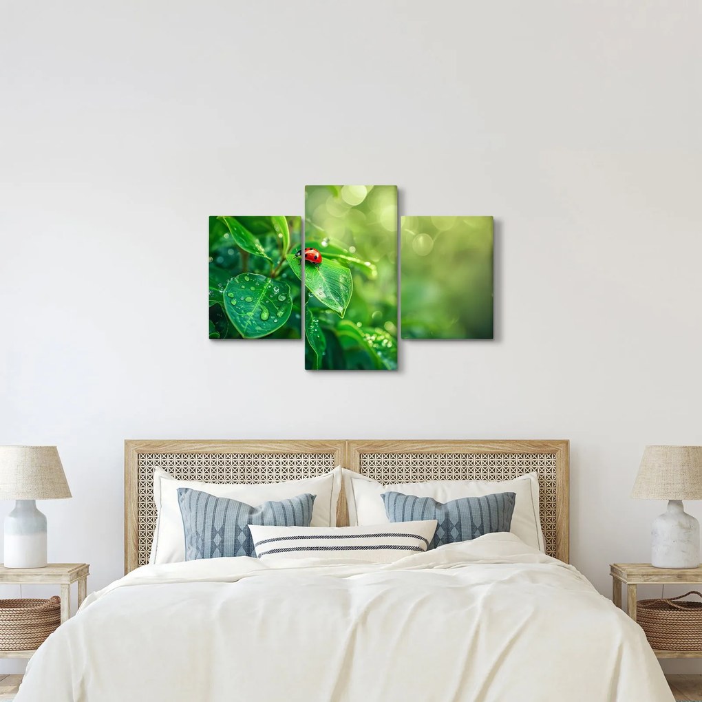 Kép - Katicabogár (90x60 cm)