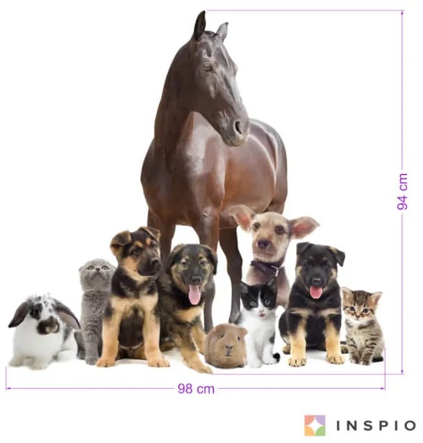 INSPIO Falmatrica - Állatok