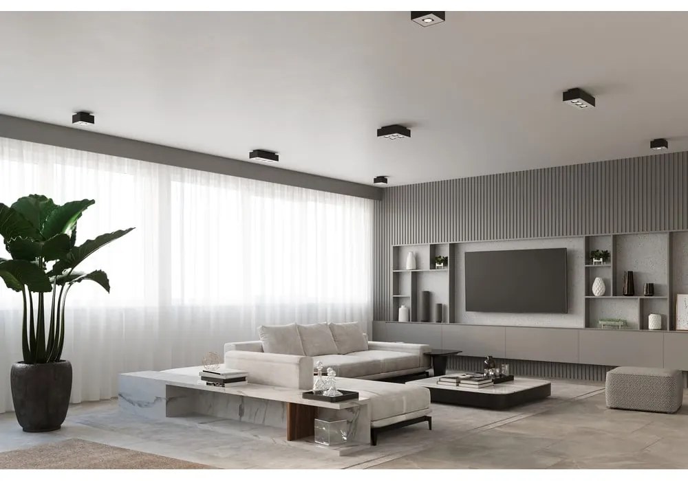 Hydra fekete mennyezeti lámpa - Sollux