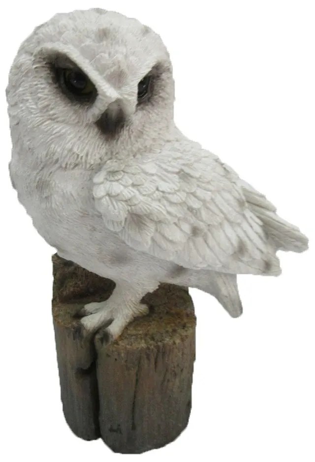 Poligyanta kerti szobor Owl – Esschert Design