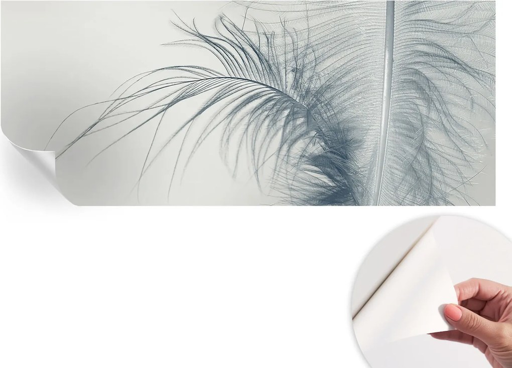 Modern öntapadós fotótapéta falra Finom toll 250x104 cm