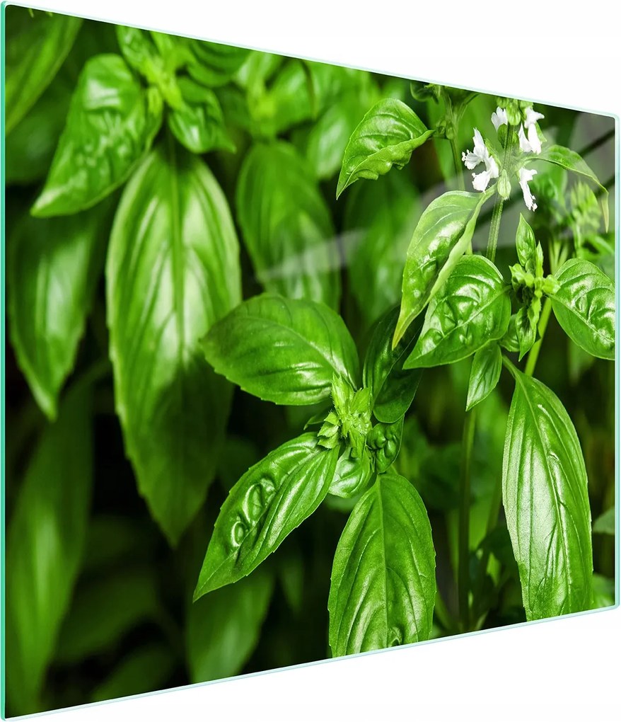 Üveg Vágódeszka 52x30 Bazsalikom Edzett Üveg