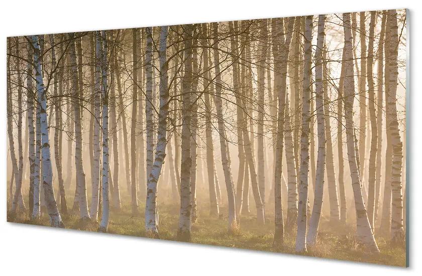 Akrilképek Sunrise fa erdő 140x70 cm