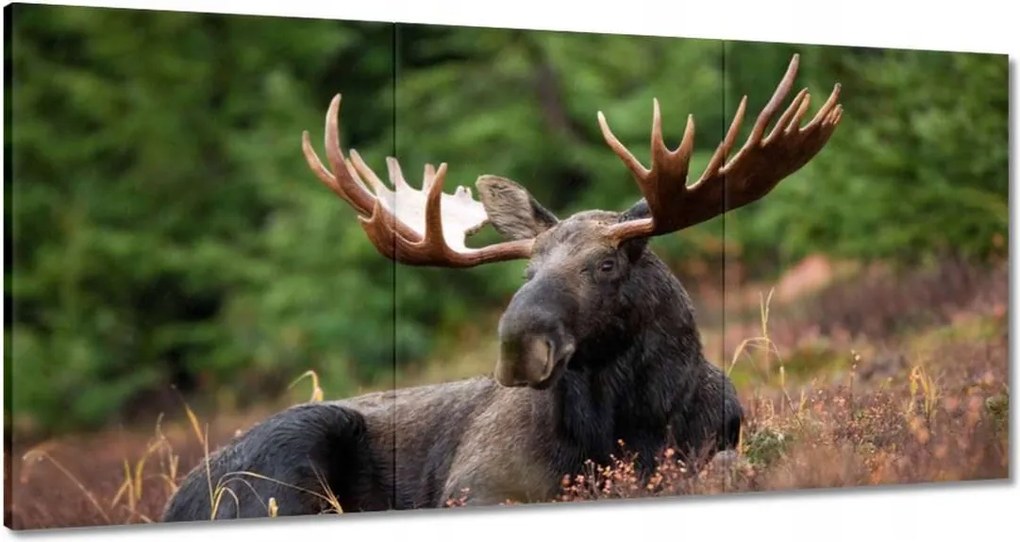 Festmények 180x90 Szarvas a csarnokban