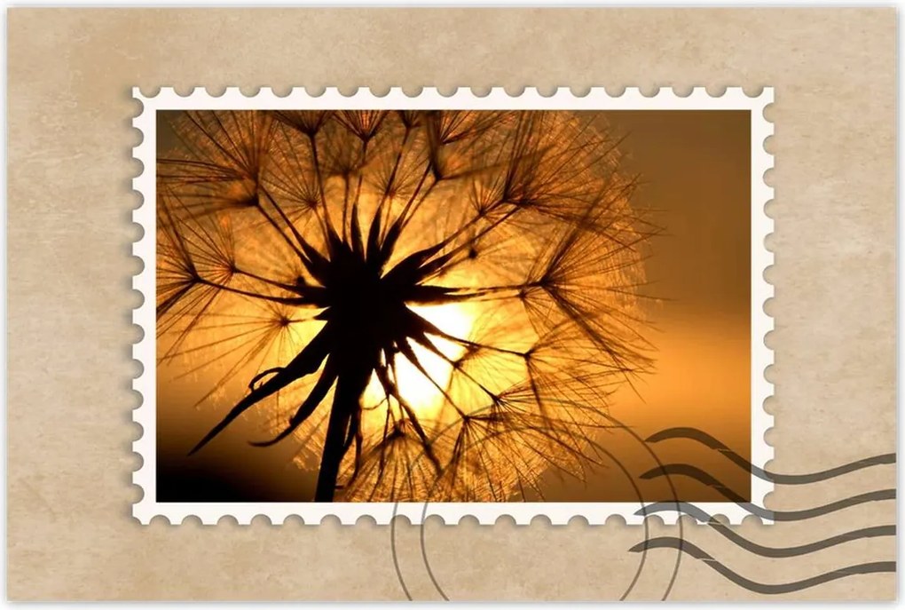 Poszterek 120x80 Pitypang Virág Virágok