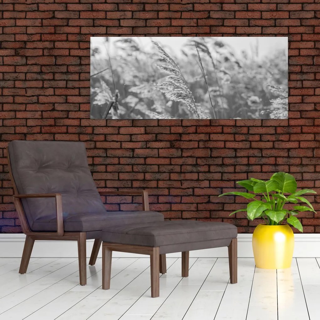 Kép - Fű a szélben (120x50 cm)