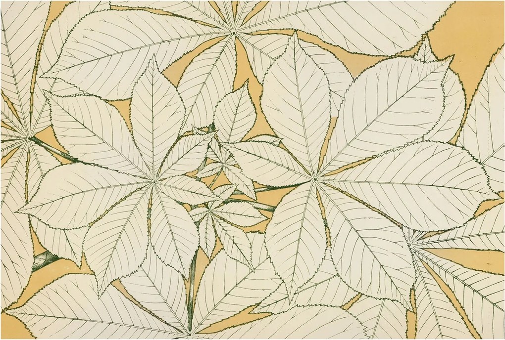 Fotótapéta Flizelin Fal a Hálószobába Gesztenye levelek 104x70 Ragasztó