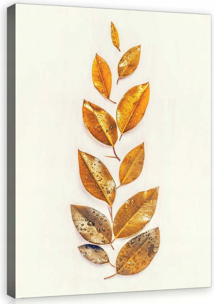 Vászonkép 60x80 Őszi levelek arany vízcseppek természet nyugalom elegancia