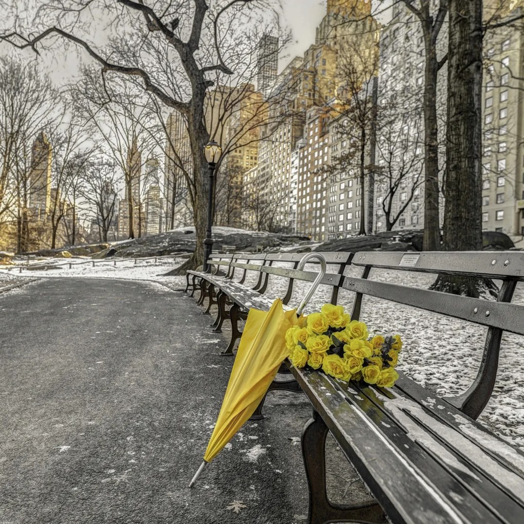 Poszter 70x70cm Egy csokor sárga virág és egy esernyő a park padján, Assaf Fra