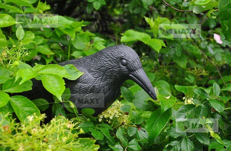 Bird scarer - raven