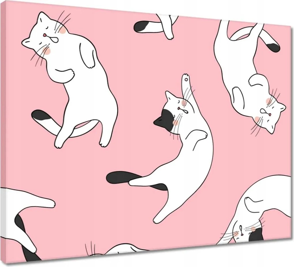 Vászonkép 50x40 Cica Cicák Macskák