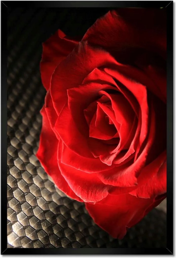 Poszter keretben 40x60 Vörös rózsa levelekkel