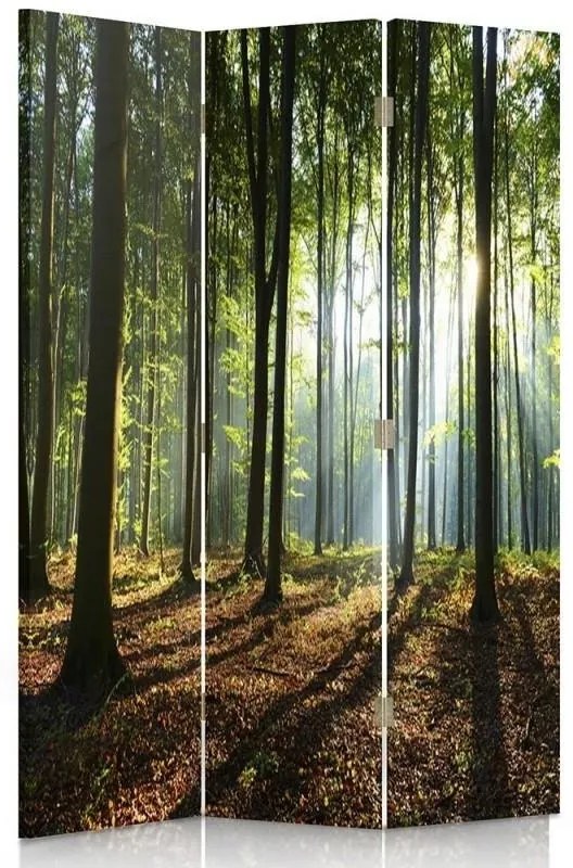 Gario Paraván Napsugarak az erdõben Méret: 145 x 170 cm, Kivitelezés: Klasszikus paraván