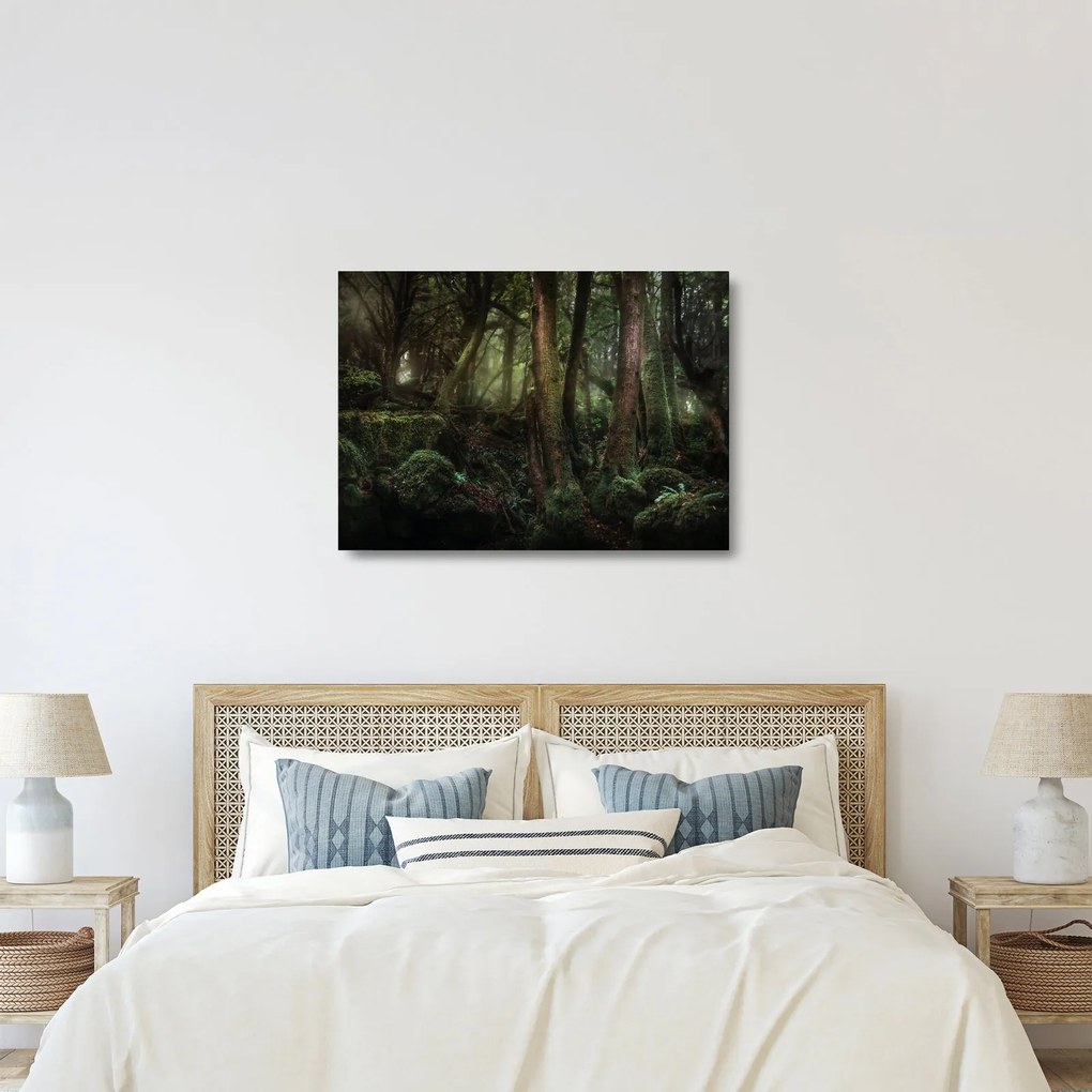 Kép - Titokzatos erdő (üvegen) (70x50 cm)
