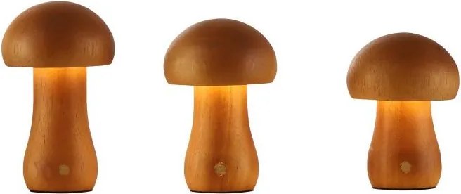 Searchlight EU34125NA - 3 darabos MUSHROOM LED asztali lámpa szett, LED/1,1W/5V