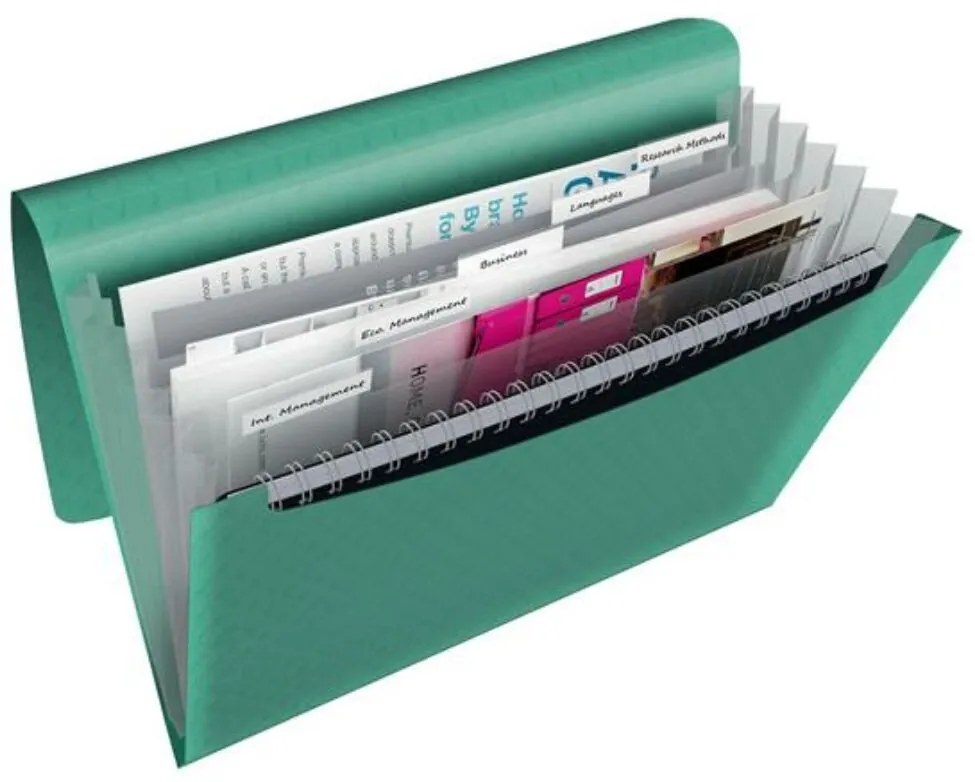 Harmonikamappa, A4, PP, 6 rekeszes, ESSELTE Colour'Breeze, zöld (E626253)